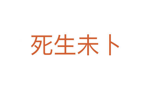 生未卜