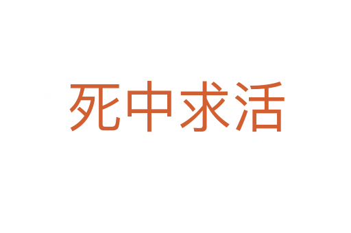    中求活