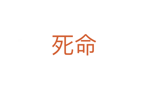    命