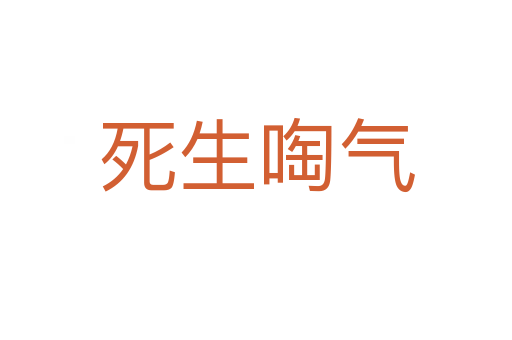    生啕气